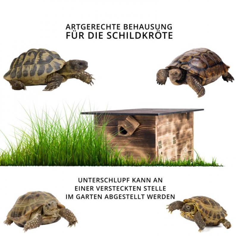 Woid Herz Premium Schildkrötenhaus (SH1) gebrannt aus 20mm starken Vollholz